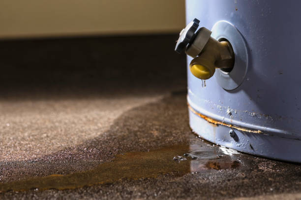 Best Professional water damage repair  in Burkesville, KY