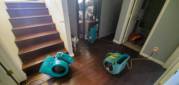 Best Sewage cleanup and water damage restoration  in Burkesville, KY
