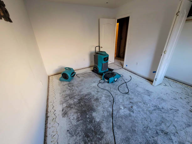 Best Professional water damage repair  in Burkesville, KY