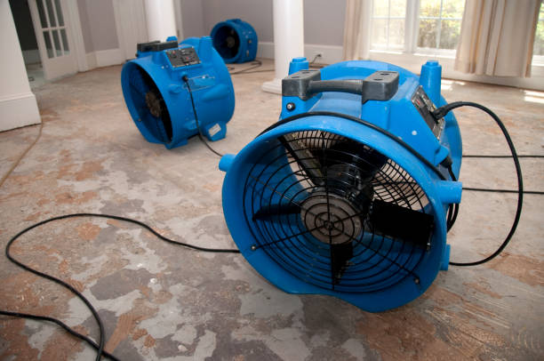 Best Water damage restoration insurance claims  in Burkesville, KY