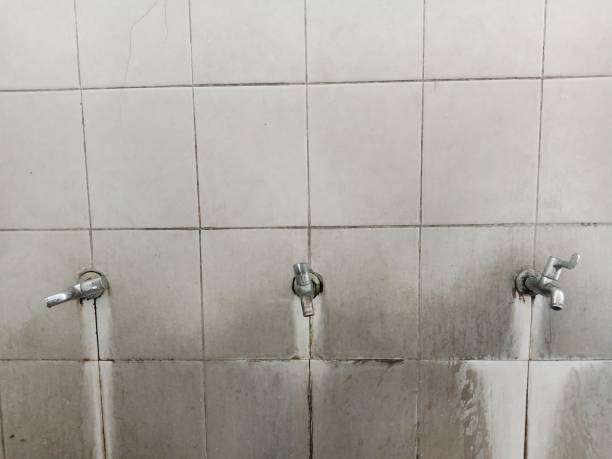 Best Carpet water damage restoration  in Burkesville, KY