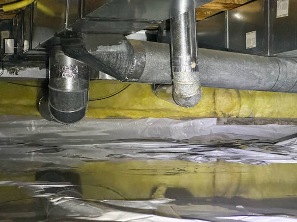 Best Water damage contractors near me  in Burkesville, KY
